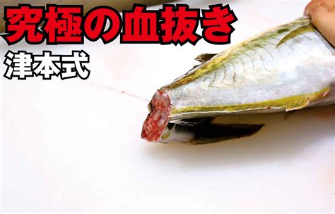 魚血|【漁師流】魚・釣り血抜きの研究結果！ 